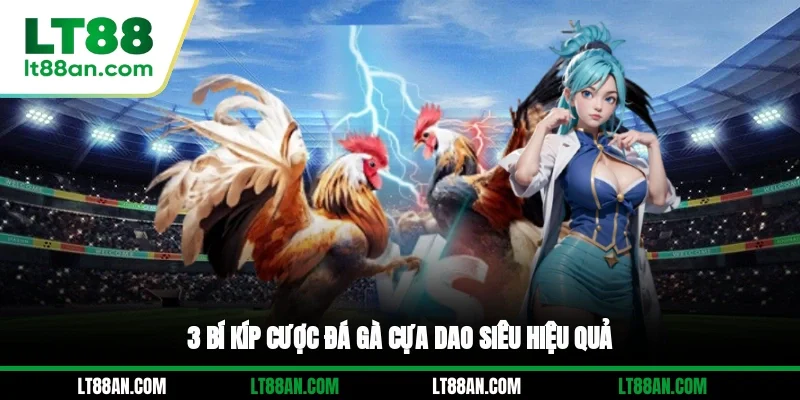 3 bí kíp cược đá gà cựa dao siêu hiệu quả