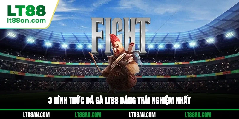 3 hình thức đá gà LT88 đáng trải nghiệm nhất
