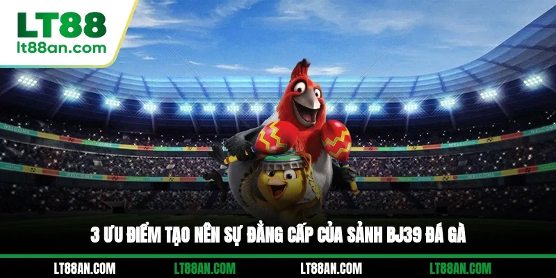 3 ưu điểm tạo nên sự đẳng cấp của sảnh BJ39 đá gà