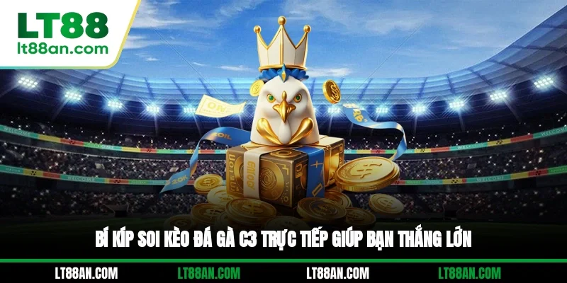 Bí kíp soi kèo đá gà C3 trực tiếp giúp bạn thắng lớn