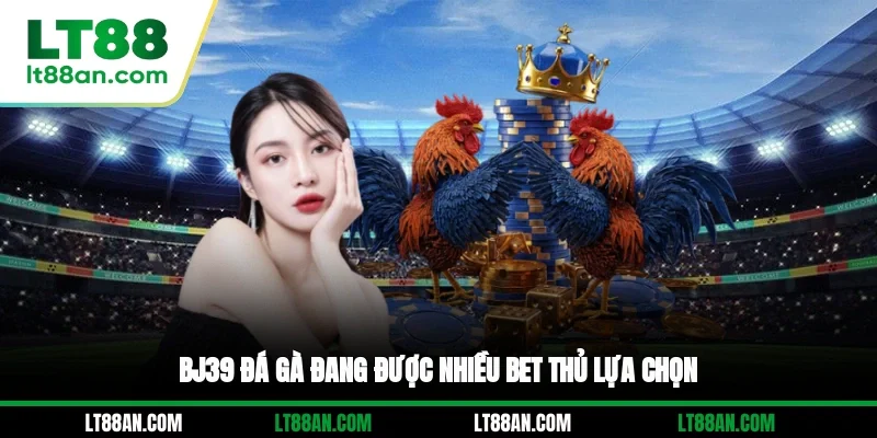 BJ39 đá gà đang được nhiều bet thủ lựa chọn