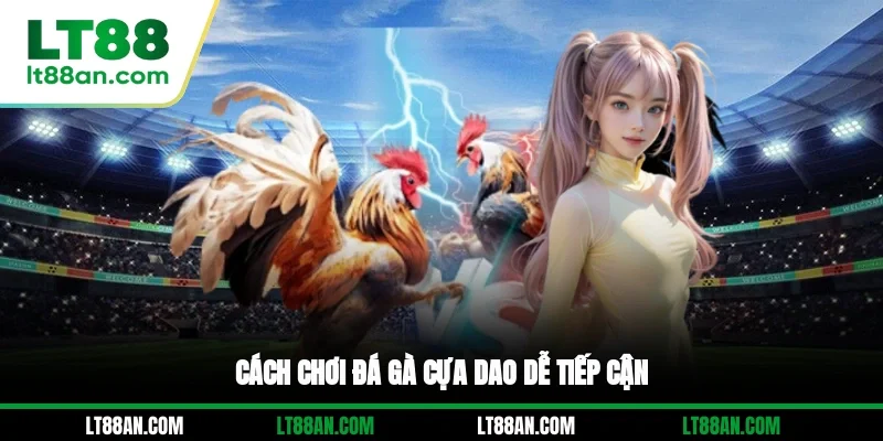 Cách chơi đá gà cựa dao dễ tiếp cận