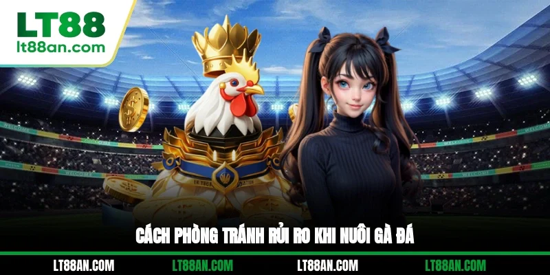 Cách phòng tránh rủi ro khi nuôi gà đá