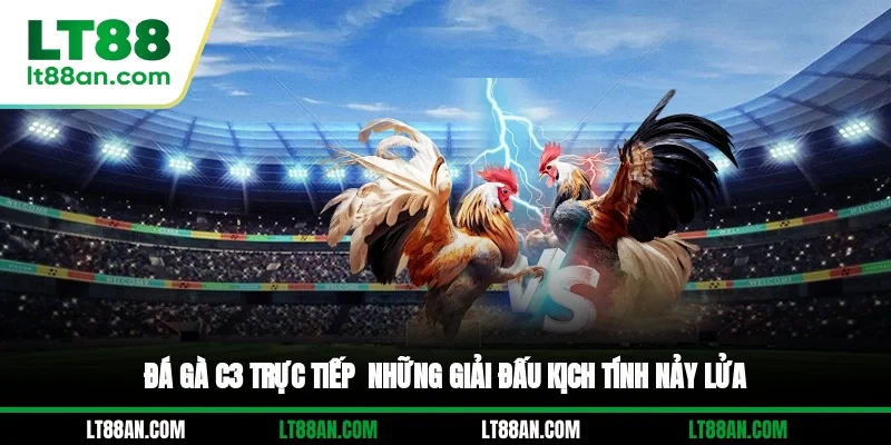 Đá Gà C3 Trực Tiếp - Những Giải Đấu Kịch Tính, Nảy Lửa