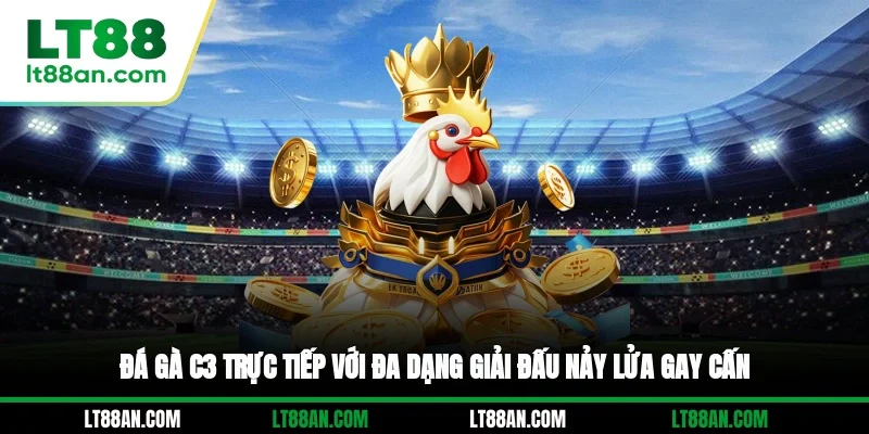 Đá gà C3 trực tiếp với đa dạng giải đấu nảy lửa, gay cấn