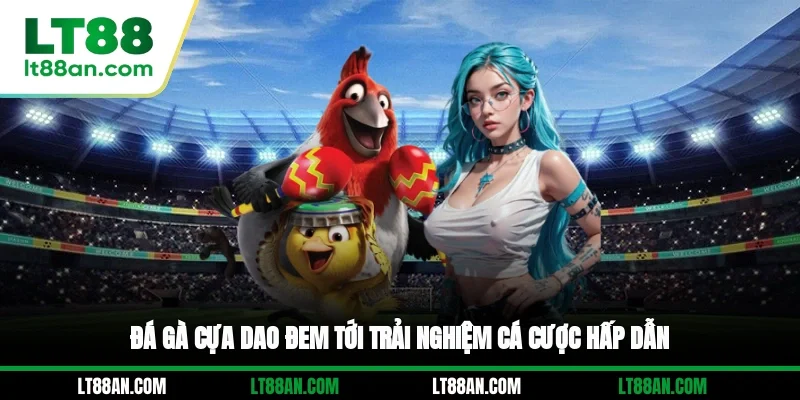 Đá gà cựa dao đem tới trải nghiệm cá cược hấp dẫn