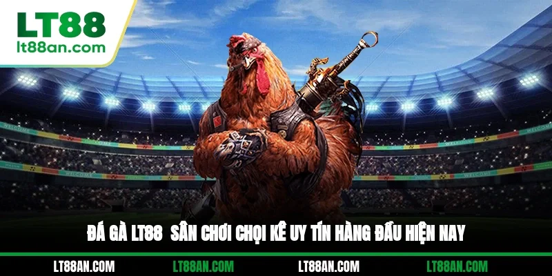 Đá Gà LT88 - Sân Chơi Chọi Kê Uy Tín Hàng Đầu Hiện Nay
