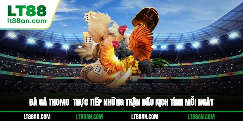 Đá Gà Thomo - Trực Tiếp Những Trận Đấu Kịch Tính Mỗi Ngày