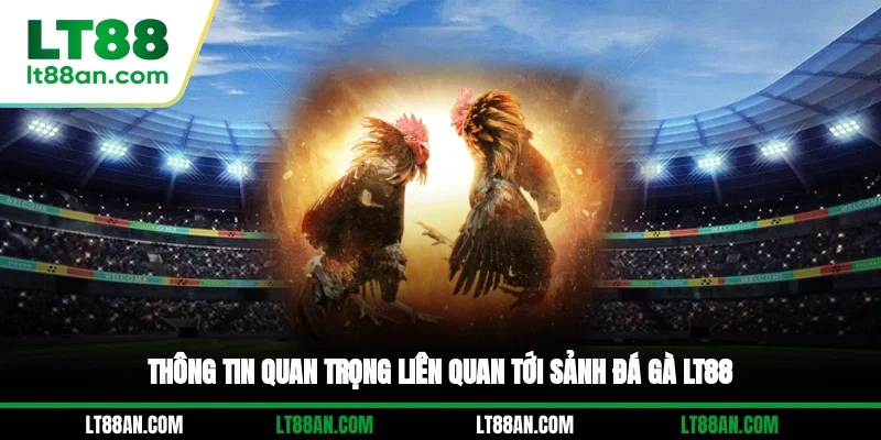 Thông tin quan trọng liên quan tới sảnh đá gà LT88
